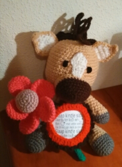 Poekie met fotolijst en bloem